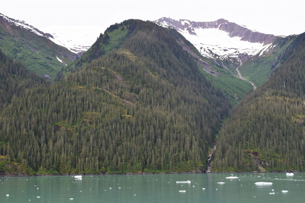 what it's really like on an Alaskan Cruise, tips, excursions, everything you need to know