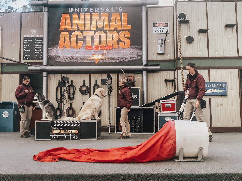 animal actors show universal studios hollywood California