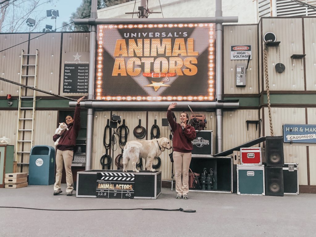 animal actors show universal studios hollywood California