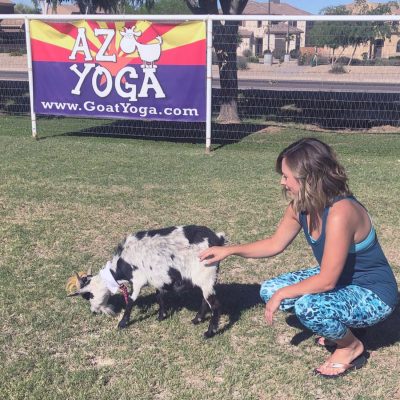 AZ goat yoga, Gilbert
