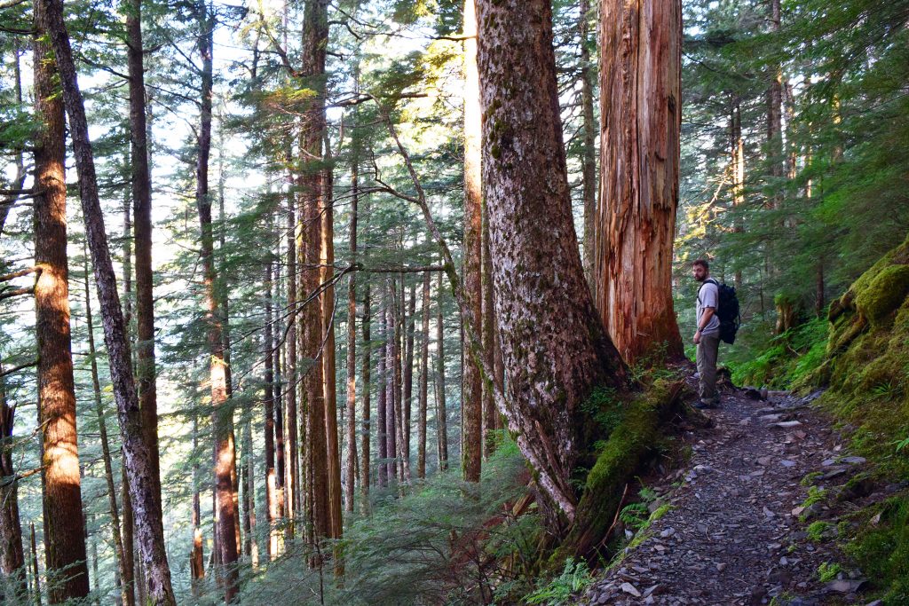 deer mountain trail ketchikan