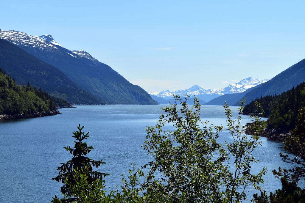 the road to dyea, Skagway