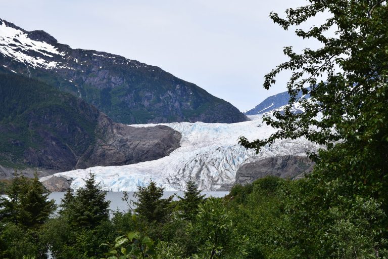 Best Alaskan Cruise Shore Excursions for 2023
