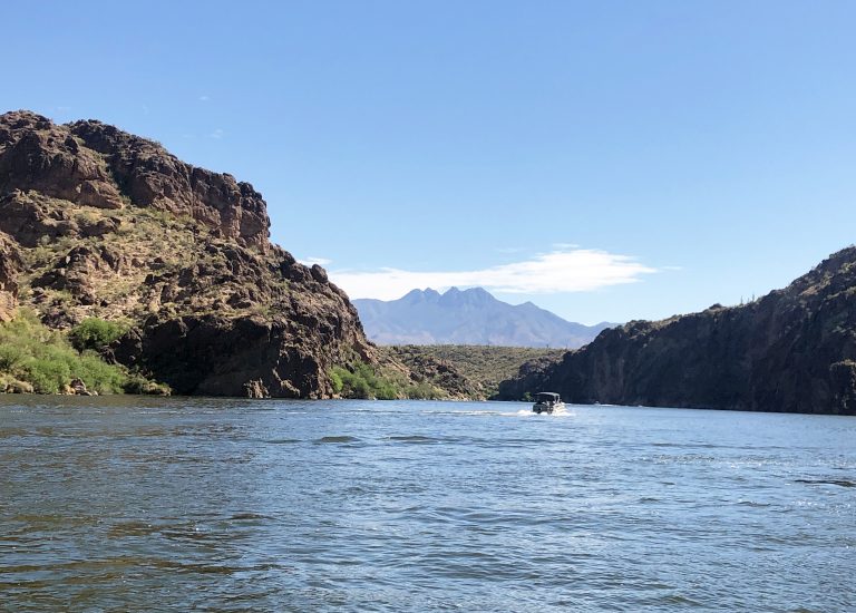 Spend a Day Renting a Boat on Saguaro Lake, Arizona