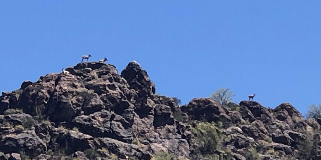 saguaro lake arizona