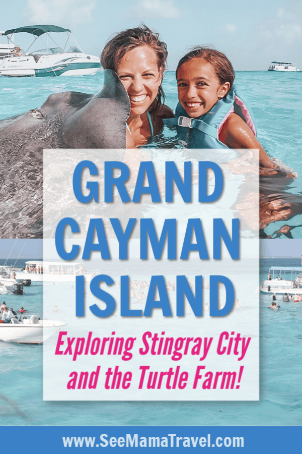 stingray city, grand cayman, cruise excursion, Caribbean