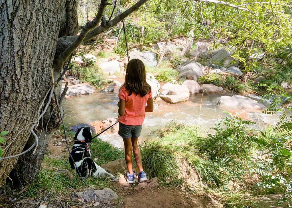 Easy hiking trails hotsell near me dog friendly