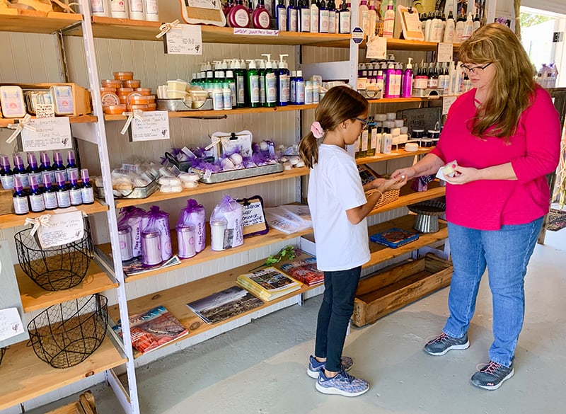 Pine Creek Lavender Farm