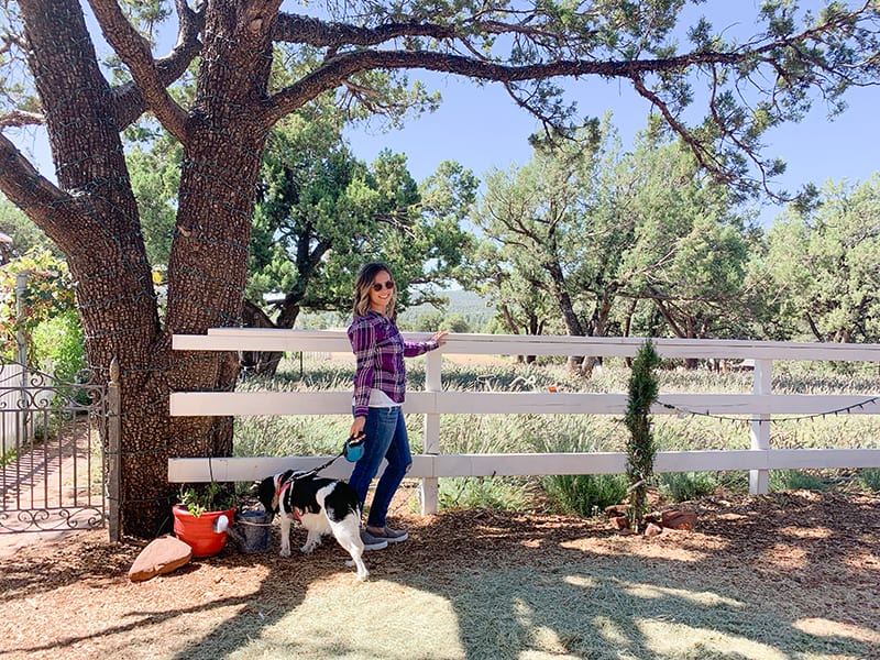 Pine Creek Lavender Farm