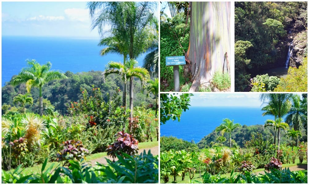 Garden of Eden in Maui