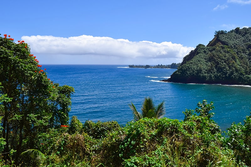 Views along the Road to Hana