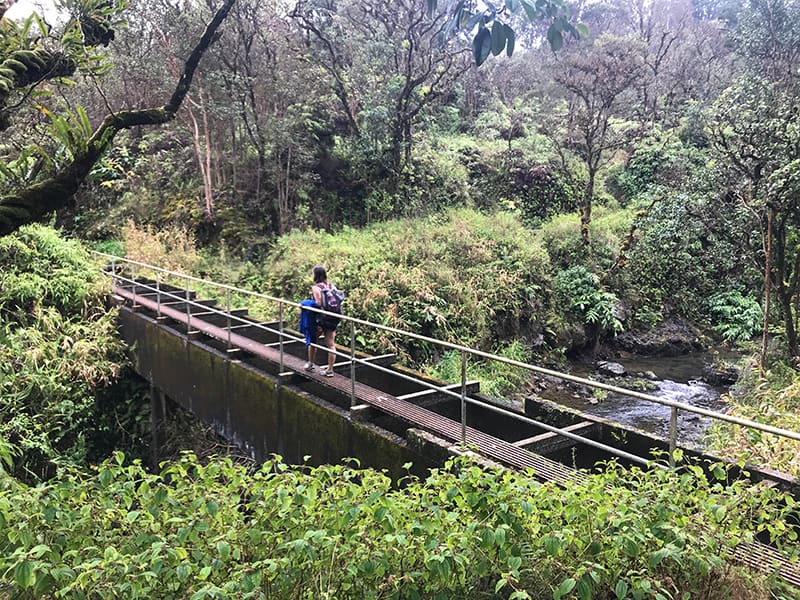 Pua’a Ka’a Falls