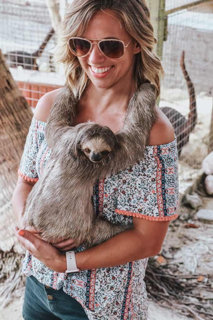 Holding a sloth at Daniel Johnson's Monkey and Sloth Hangout