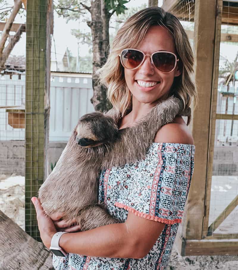 Hold a sloth at Daniel Johnsons Monkey and sloth hang out in roatan Honduras 