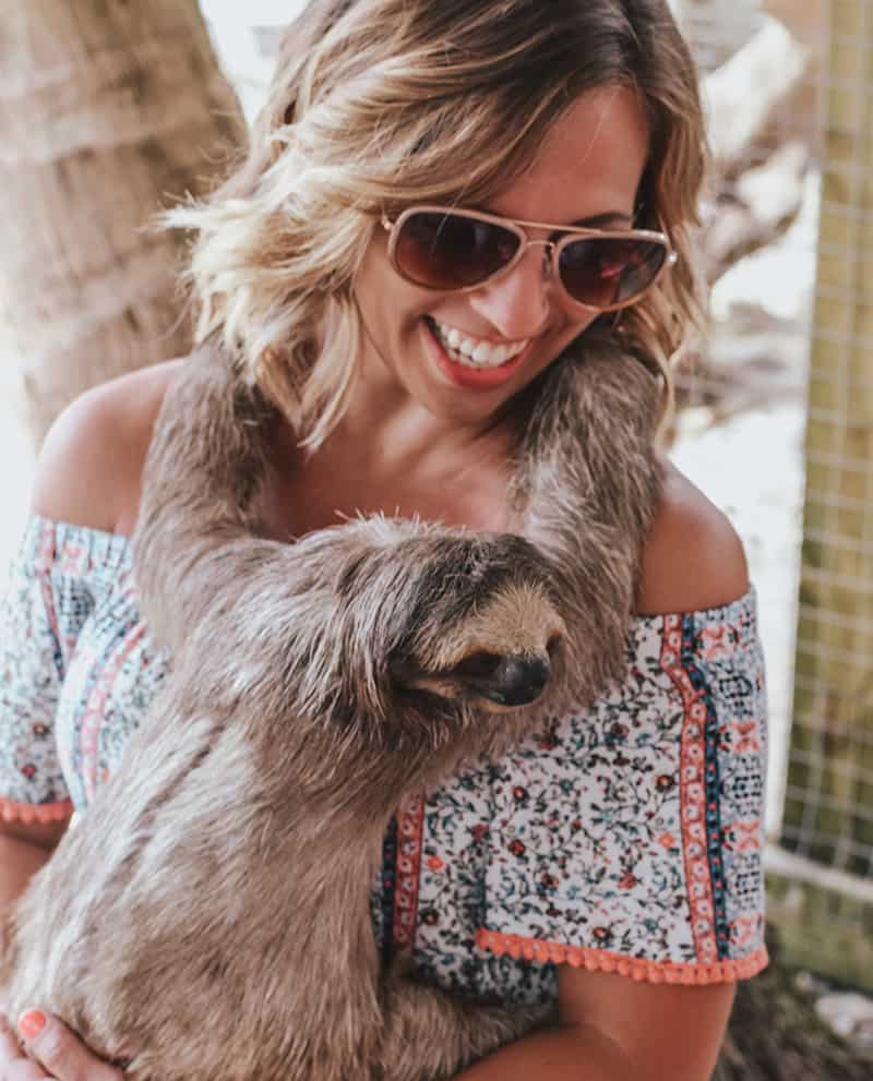 Hold a sloth at Daniel Johnsons Monkey and sloth hang out in roatan Honduras 