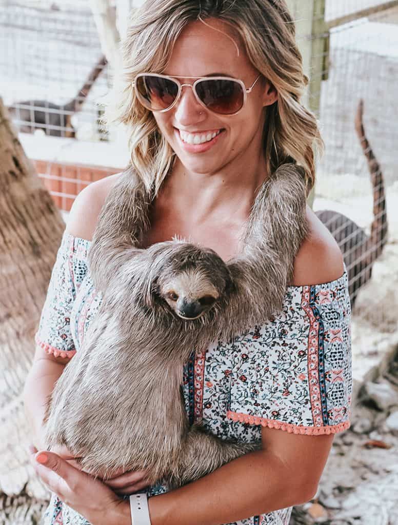 Hold a sloth at Daniel Johnsons Monkey and sloth hang out in roatan Honduras 