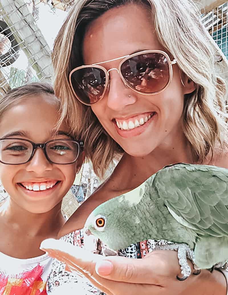 Discover Roatan! Hold a Sloth on Your Caribbean Cruise - See Mama Travel