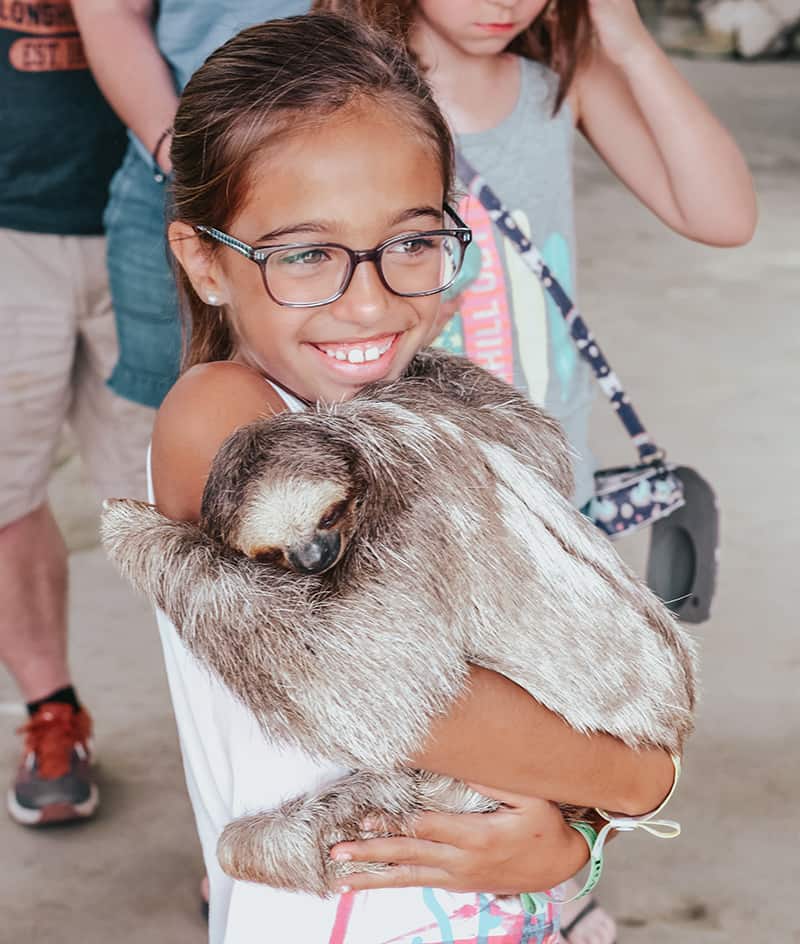 Hold a sloth at Daniel Johnsons Monkey and sloth hang out in roatan Honduras 