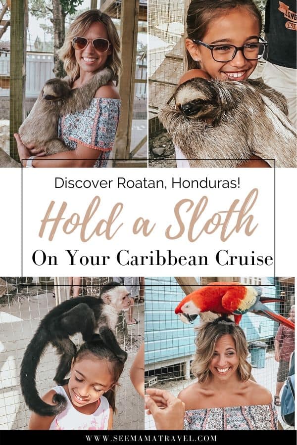Discover Roatan! Hold a sloth when sailing on a Western Caribbean Cruise