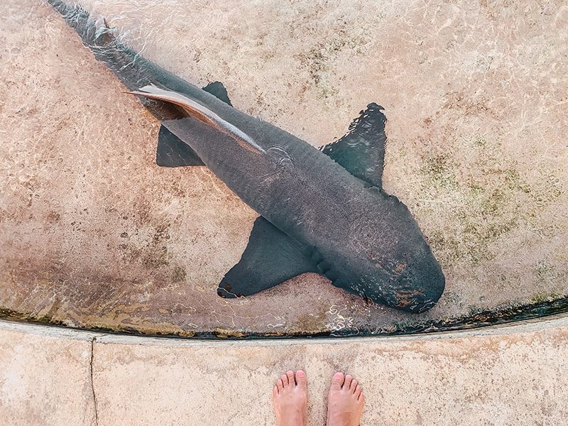 Baha Mar Exploration Center