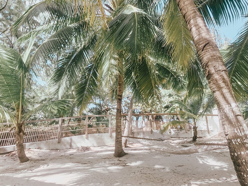 blue lagoon excursion in nassau