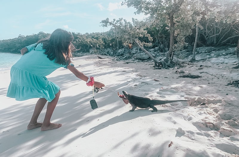 Feeding Iguanas at Allen Cay in the Bahamas