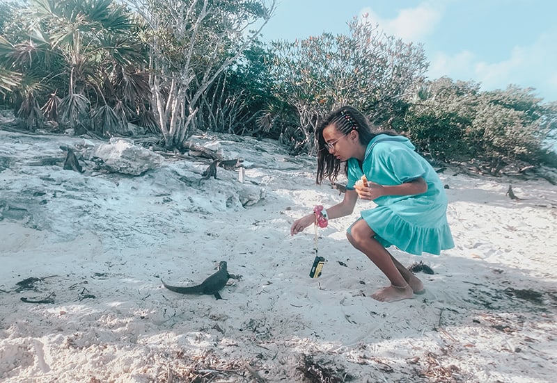 Feeing Iguanas on Allen Cay