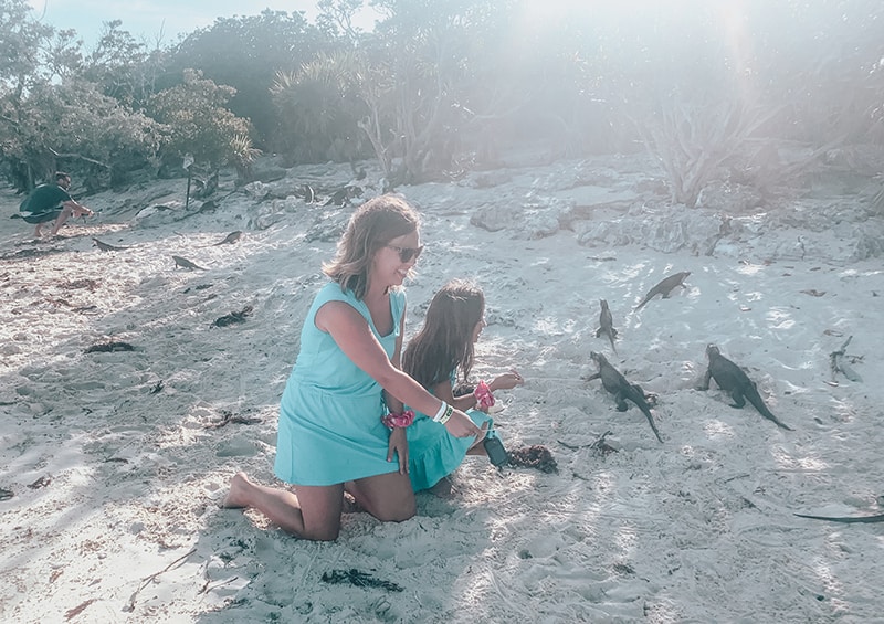 Feeding Iguanas at Allen Cay in the Bahamas