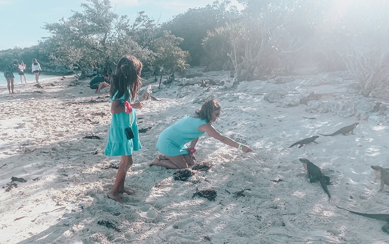 Feeding Iguanas at Allen Cay in the Bahamas