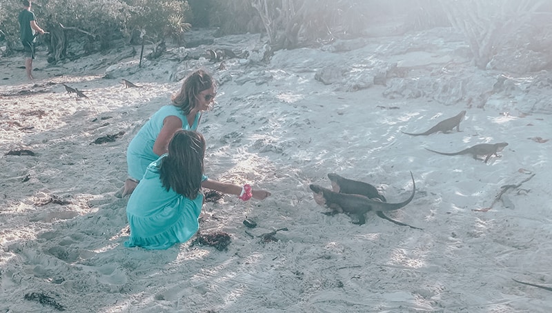 Feeding Iguanas at Allen Cay in the Bahamas