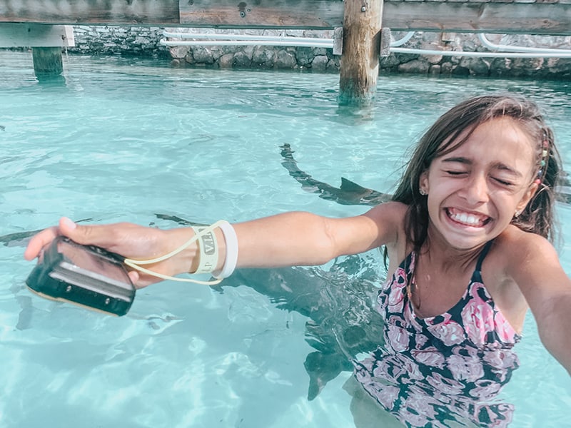 Swimming with nurse sharks in the Bahamas