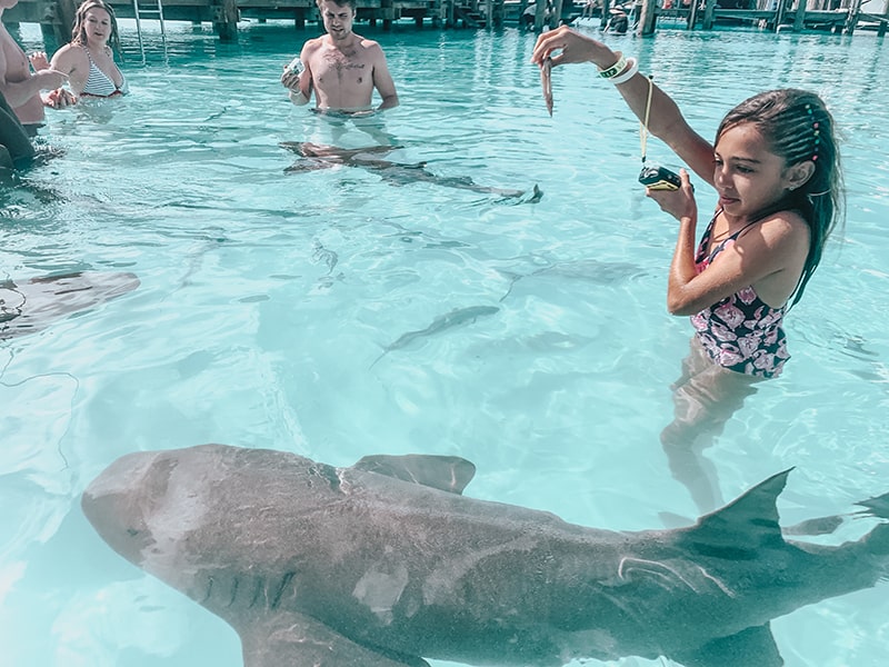 Swimming with nurse sharks in the Bahamas