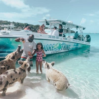 Swimming with the Pigs in The Bahamas
