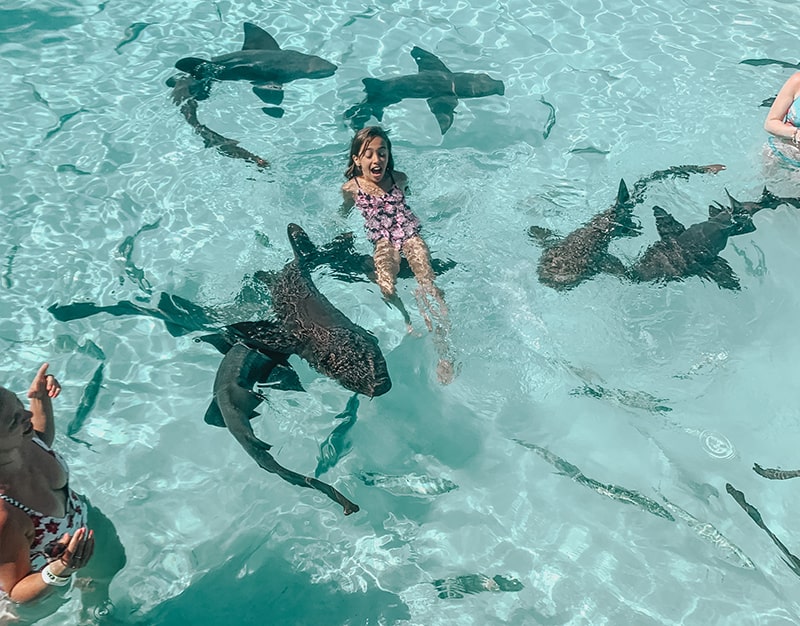 Swimming with nurse sharks in the Bahamas