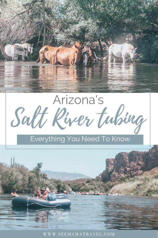 Salt River Tubing in Arizona