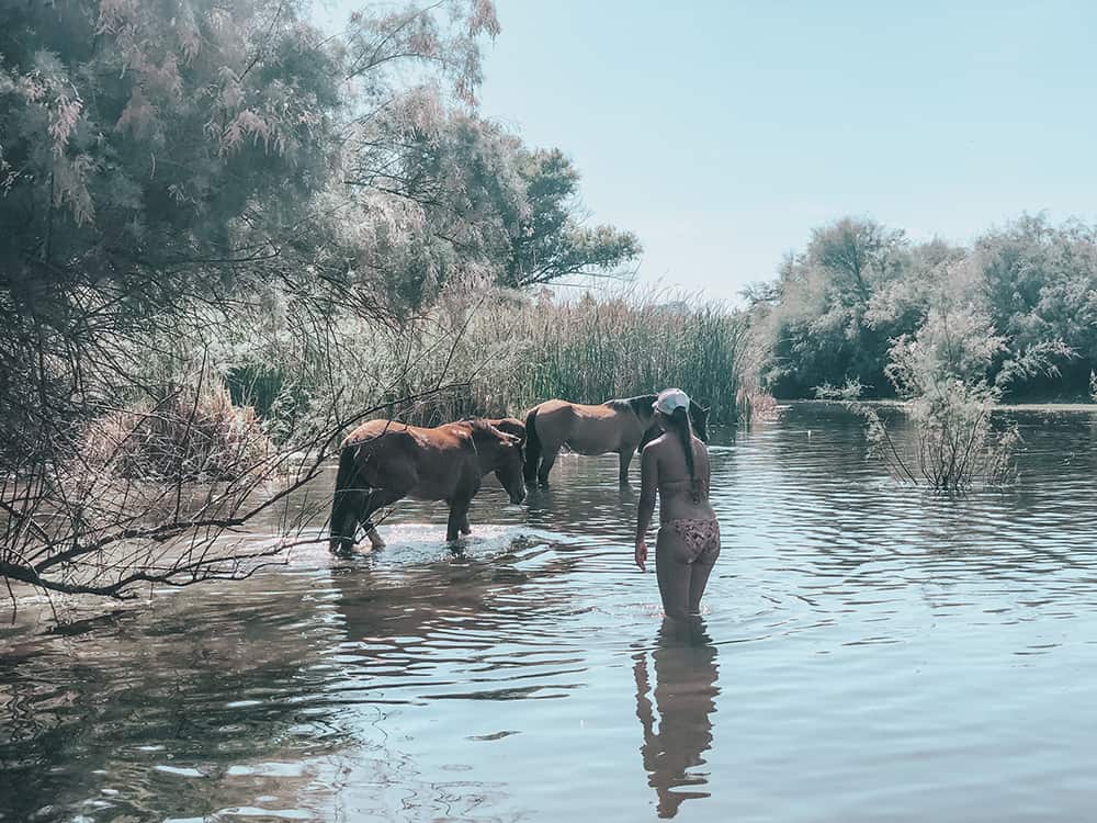 Girl approaching wild horse at the Salt River