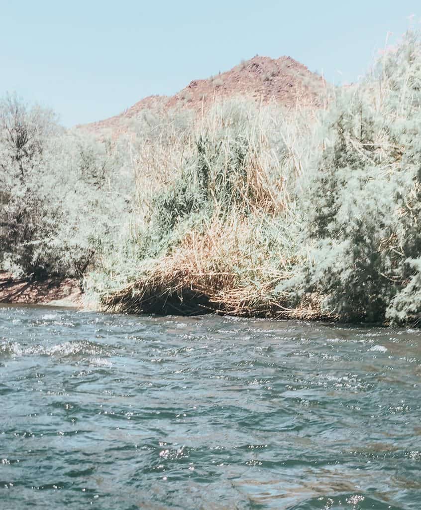 Rapids while tubing in Arizona