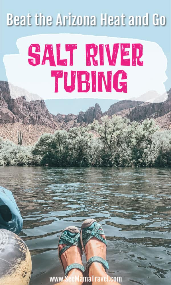 Salt River Tubing in Arizona