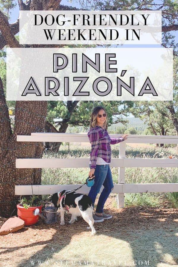 A Dog-Friendly Weekend in Pine, Arizona