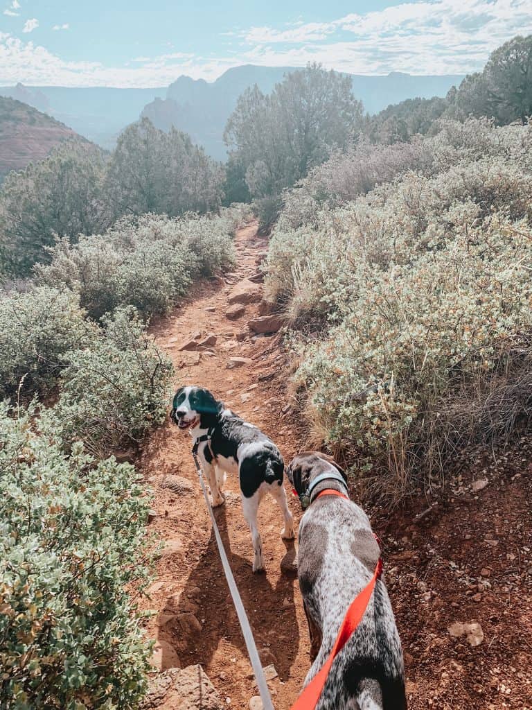 Sedona View Trail