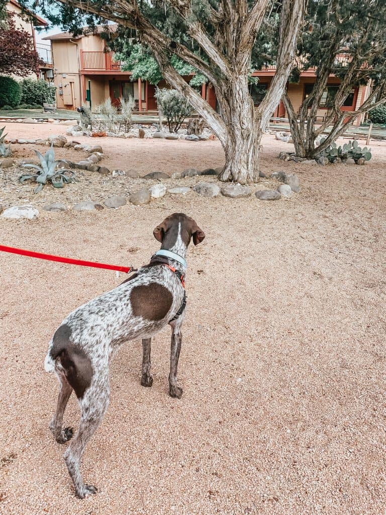 Sky Ranch Lodge in Sedona