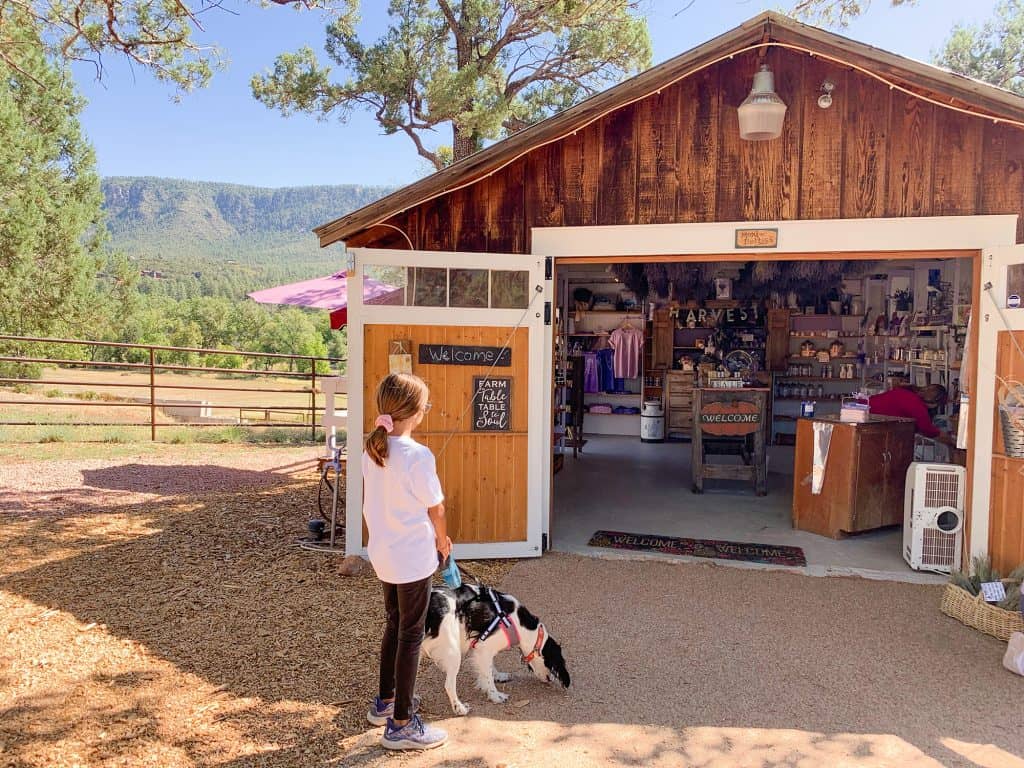 Pine creek canyon lavender store AZ