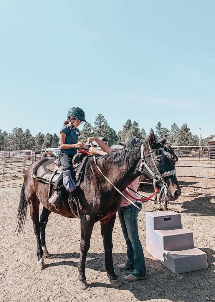 Porter Mountain Stables