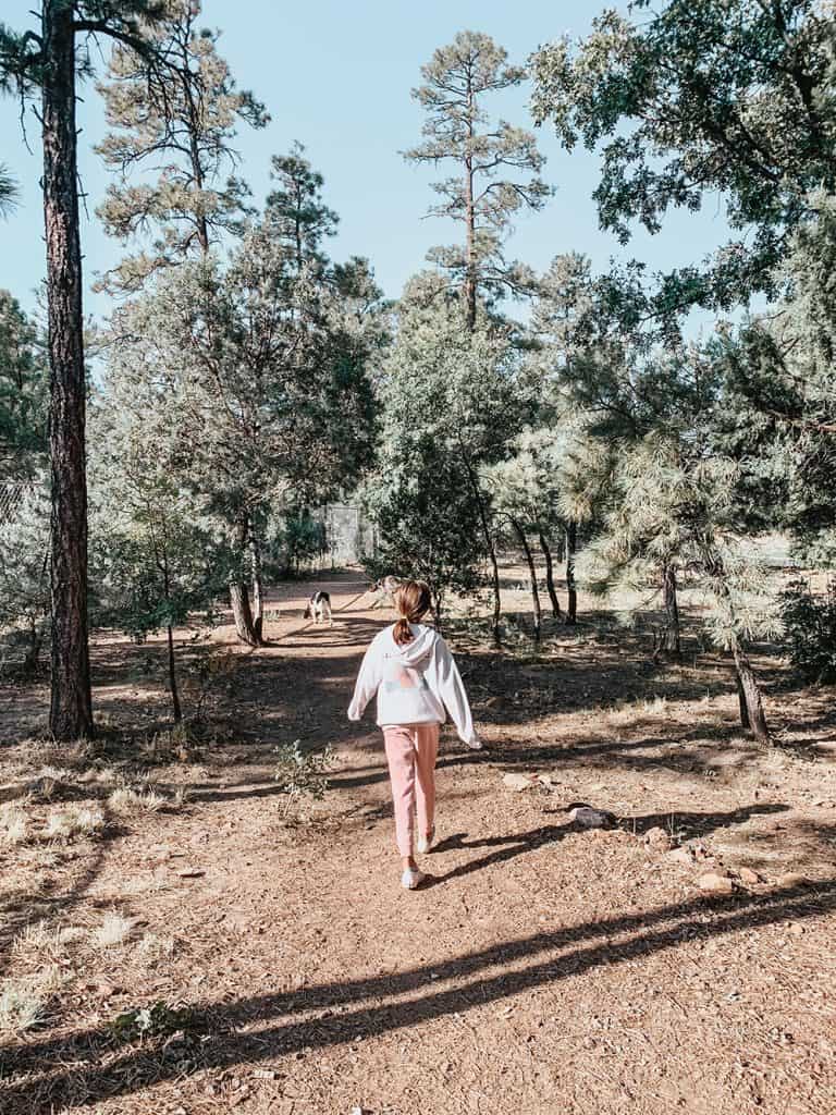 What to do in Pinetop, Arizona