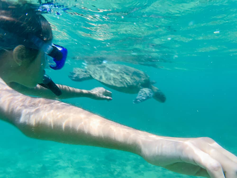Kauai snorkel spots
