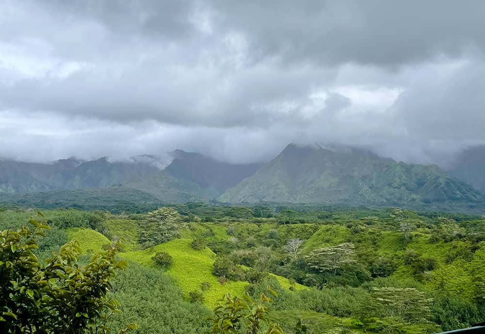 What to do in Kauai