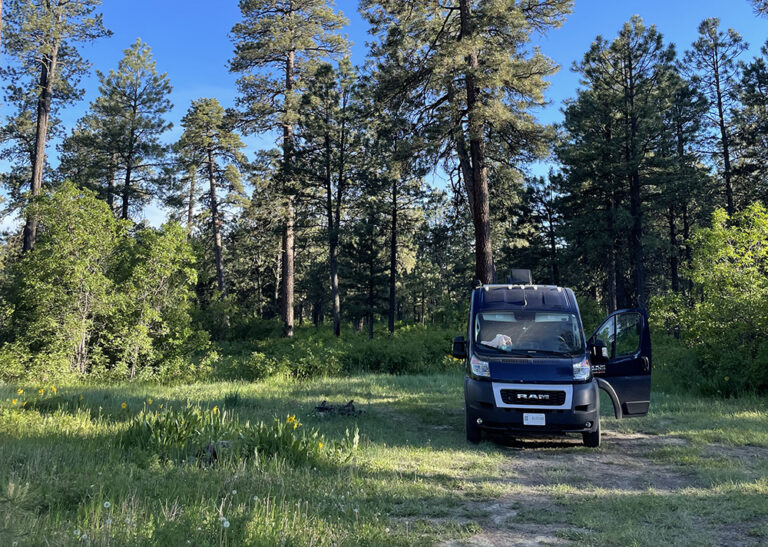 Where To Find The Best Dispersed Camping In Pagosa Springs