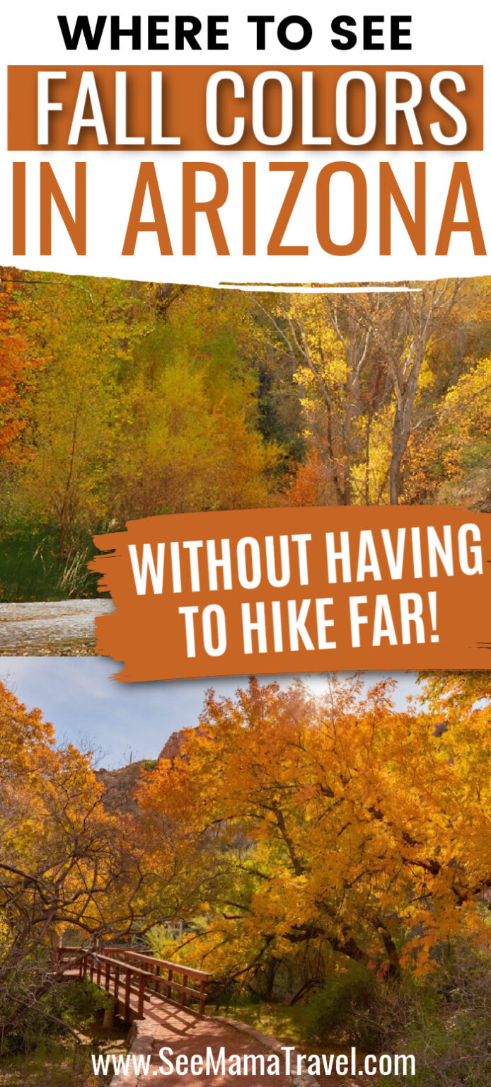 Where To See Fall Colors in Arizona without Having to Hike Far in 2023