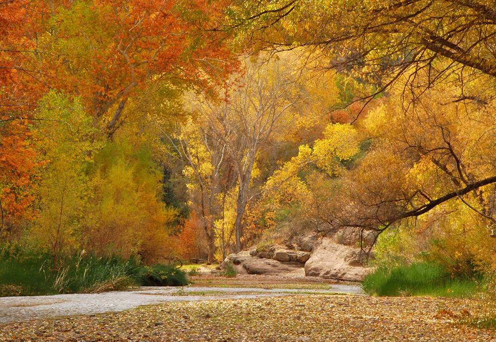 Aravaipa Canyon