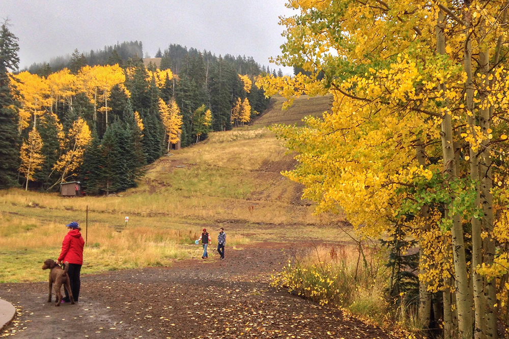 Snowbowl in the Fall, Curtesy of Chris Tingom with "Places to See In Arizona"